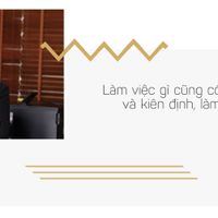 Ảnh trong bài