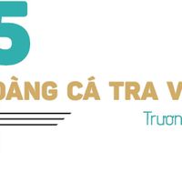 Ảnh trong bài