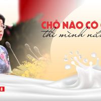 Ảnh trong bài