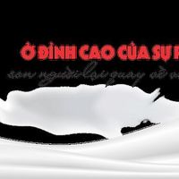 Ảnh trong bài