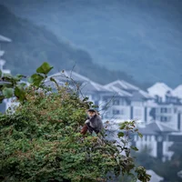 Ảnh trong bài