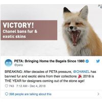 Screen-Shot-2018-12-06-at-9.56.07-AM.png