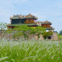 Thảm cỏ tranh đẹp ngẩn ngơ bên Hoàng thành Huế - 1