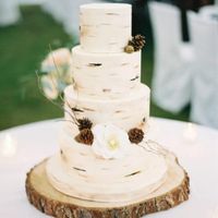 bánh kem cho đám cưới trong rừng