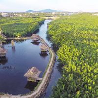 Nhà hàng ngon ở Hội An: Thuận Tính Retreat & Cafe