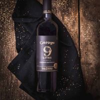 Rượu vang Chile Gato Negro 9 Lives Reserve