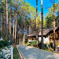 nhà hàng non ở Đà Lạt: Rừng Thông Mơ Farm & Bistro