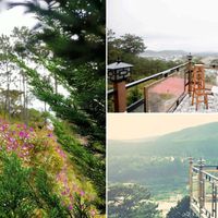 nhà hàng ngon ở Đà Lạt: Trên Đỉnh Đồi Trăng