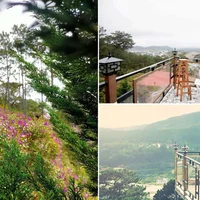nhà hàng ngon ở Đà Lạt: Trên Đỉnh Đồi Trăng