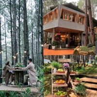 Rừng Thông Mơ Farm & Bistro