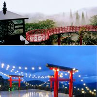 Nhà hàng ngon ở Đà Lạt: Dalat View