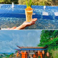 Nhà hàng ngon ở Đà Lạt: Dalat View