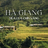 1633171676-cover.jpg