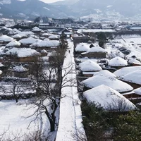 Ảnh trong bài