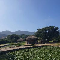 Ảnh trong bài