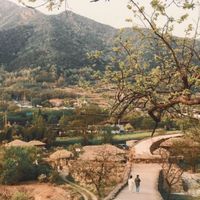 Ảnh trong bài