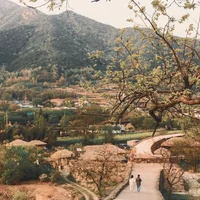 Ảnh trong bài