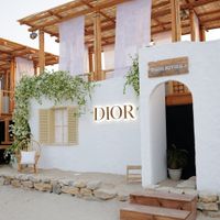 dior rivera dubai