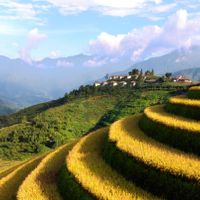 Vẻ đẹp khu nghỉ dưỡng trên mây ở Sa Pa - 9