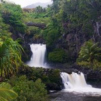 maui