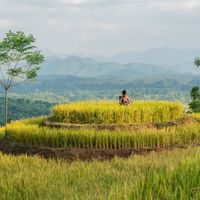 toan canh avana retreat mai chau