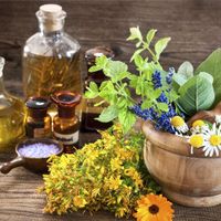 Những loại tinh dầu đắt giá nhất thế giới
