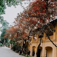 chụp ảnh đẹp tại hà nội