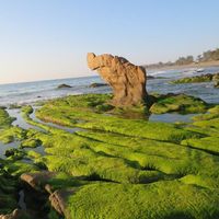 chụp ảnh đẹp tại mũi né