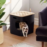 Jason Wu Cat Person