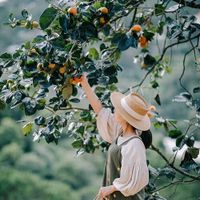 Bộ ảnh của mem Ghiền Đà Lạt ở vườn hồng chín đỏ đẹp 'như MV'