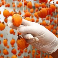 Kỳ công như làm hồng treo gió Đà Lạt