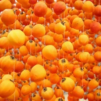 Kỳ công như làm hồng treo gió Đà Lạt - Kênh truyền hình Đài Tiếng nói Việt  Nam - VOVTV