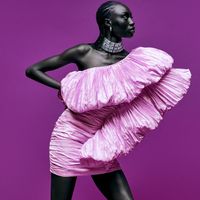 Ảnh trong bài