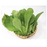Ảnh trong bài