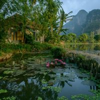 Bức tranh thiên nhiên hữu tình ở Tam Coc Garden.