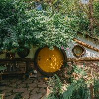 staycation hà nội bên rừng u minh