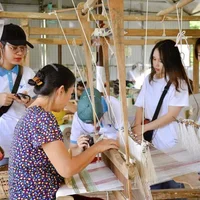 Ảnh trong bài