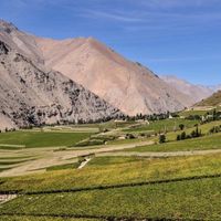 Khám phá vùng rượu vang Thung lũng Elqui của Chile
