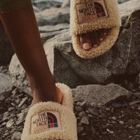 Gucci x The North Face