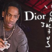 dior cactus jack