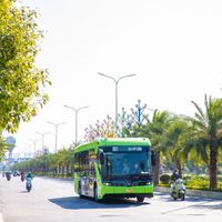 Ảnh trong bài