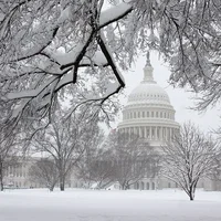 Những điểm check in mùa đông đẹp nhất tại Washington
