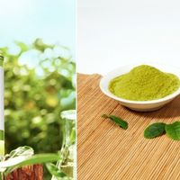 Trà xanh - trợ thủ đắc lực cho nhan sắc nữ giới