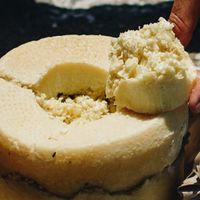 Những loại phô mai “bốc mùi” nhất thế giới - Ảnh 3