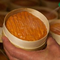 Những loại phô mai “bốc mùi” nhất thế giới - Ảnh 4