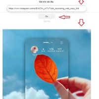 Thả link vào khung tạo ảnh, đợi vài giây là đã thu thập được một tác phẩm rồi - Ảnh Lelam