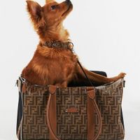 Túi đựng thú cưng Fendi
