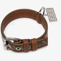 Vòng cổ chó của Fendi