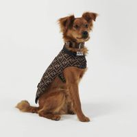 Áo khoác cho chó của Fendi