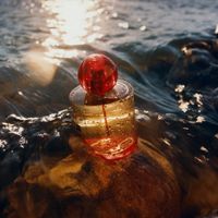 Red Hibiscus Cologne Intense